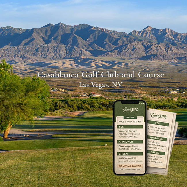 Ocean Dunes Golf Club | AI Powered Insights