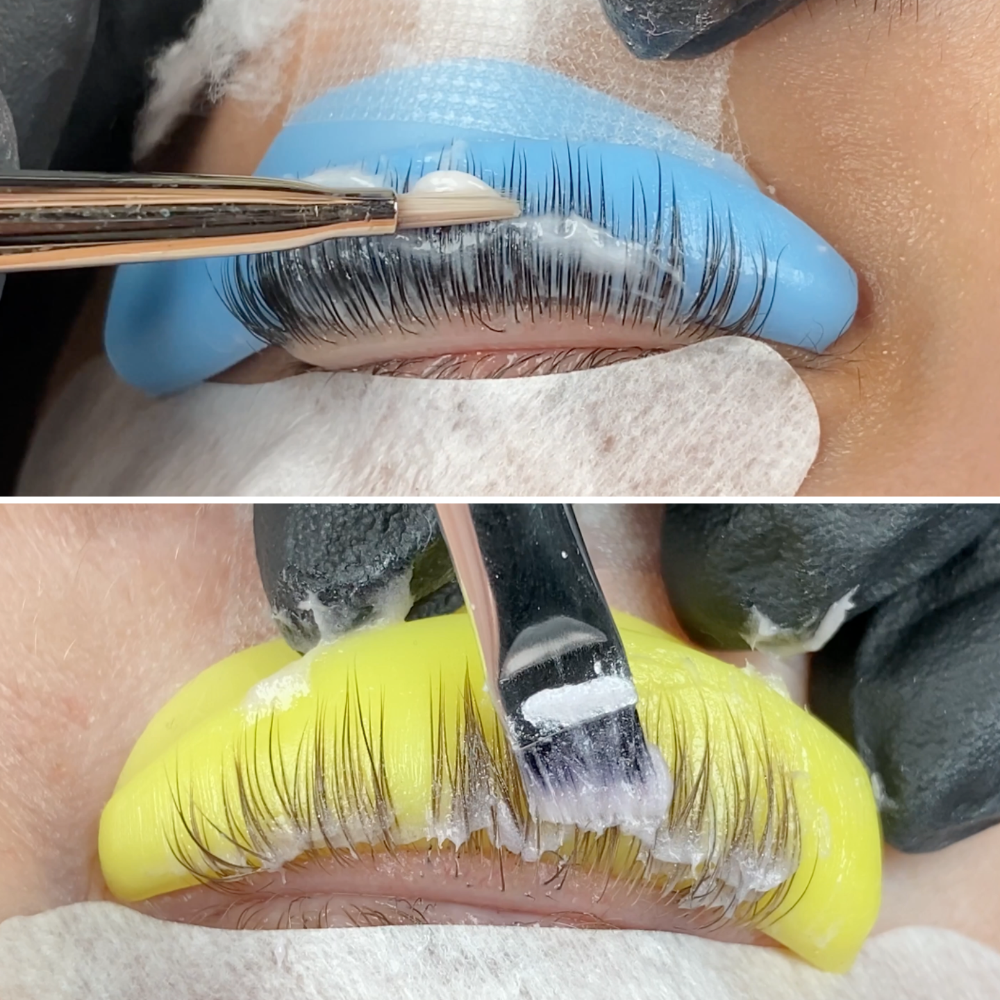 learn about my go-to apps