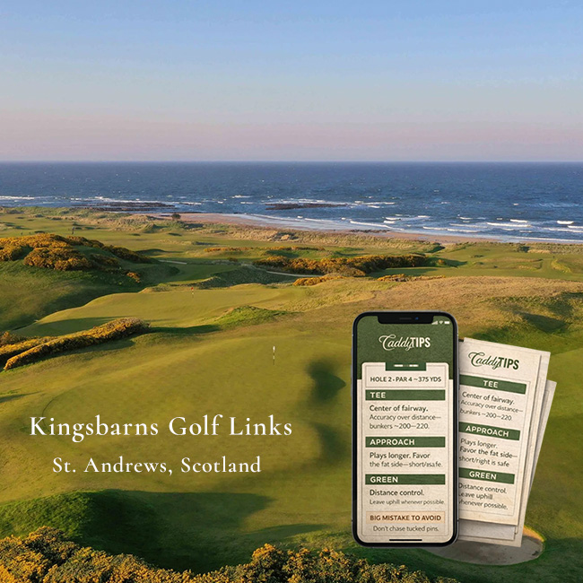 Ocean Dunes Golf Club | AI Powered Insights