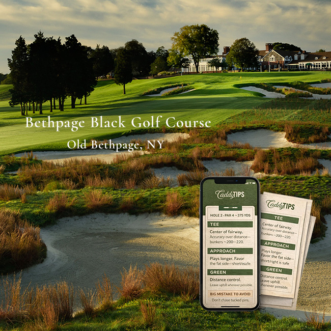 Ocean Dunes Golf Club | AI Powered Insights