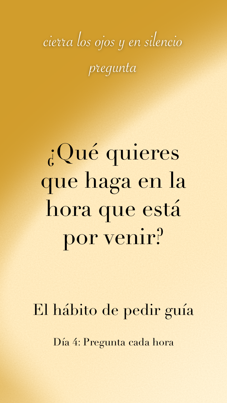 2. Pedir guía