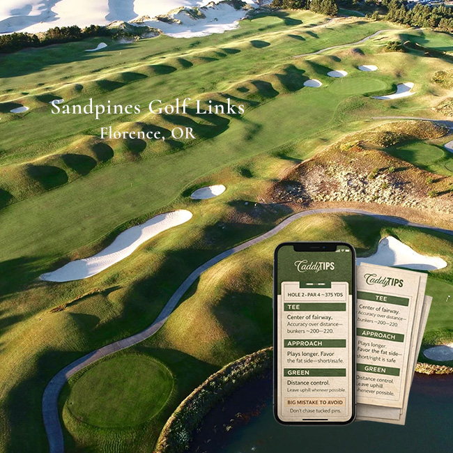 Ocean Dunes Golf Club | AI Powered Insights