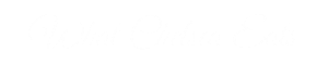 Footer Logo
