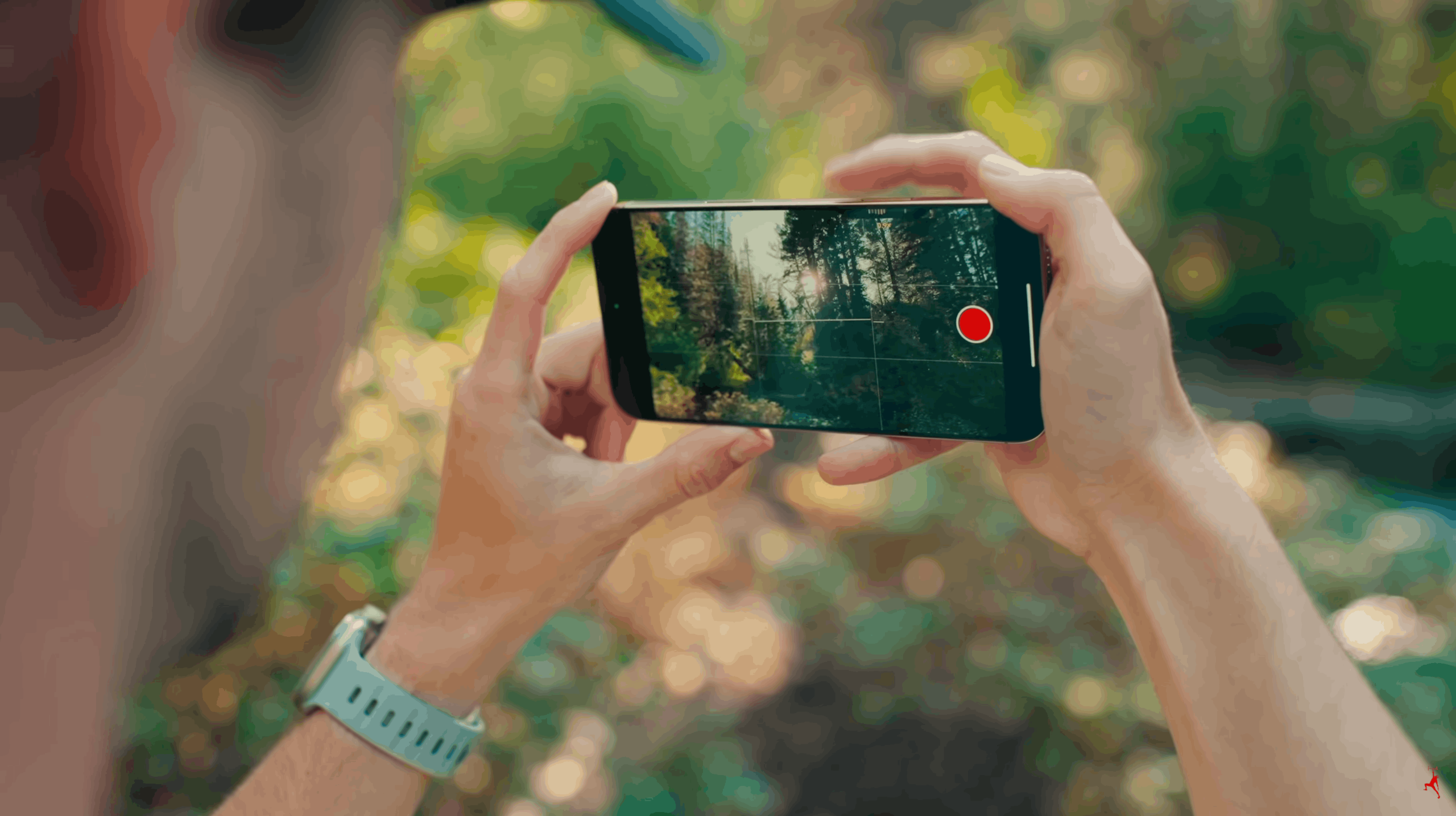 Which Lens Should I Use