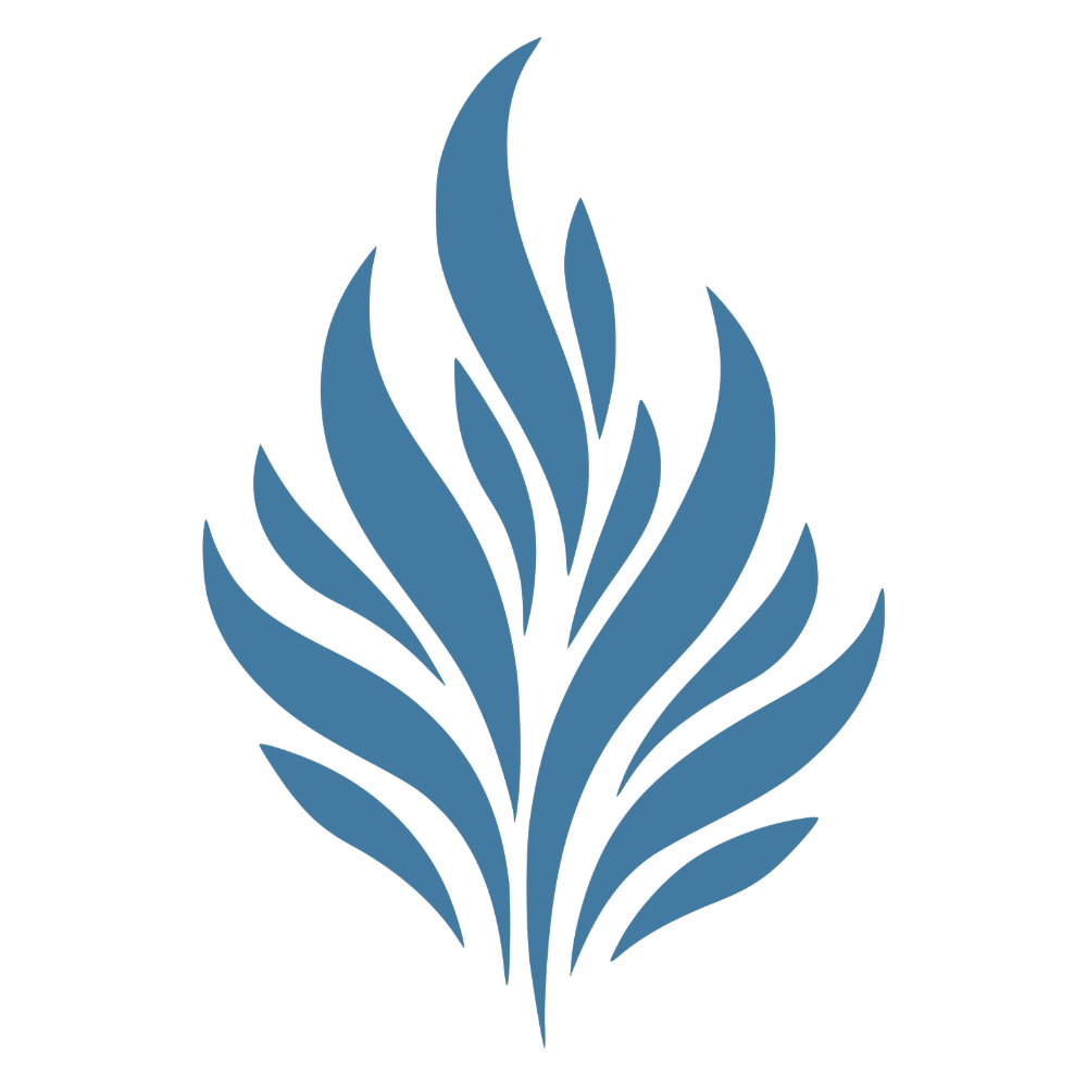 Footer Logo