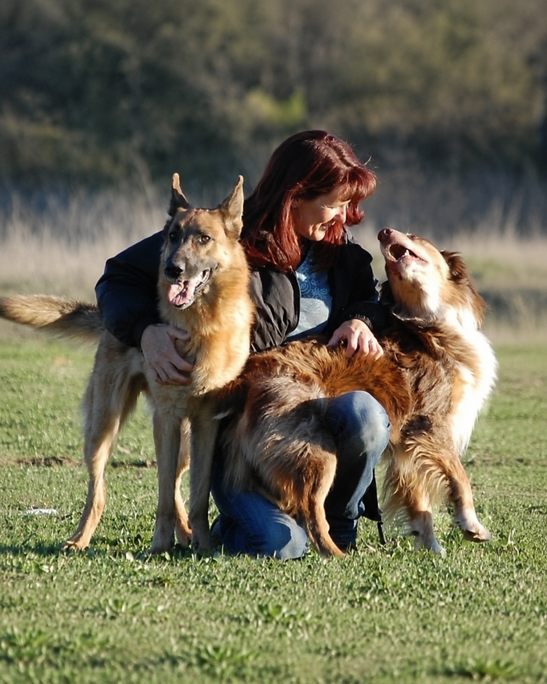 Dawna Sims with her herding dogs