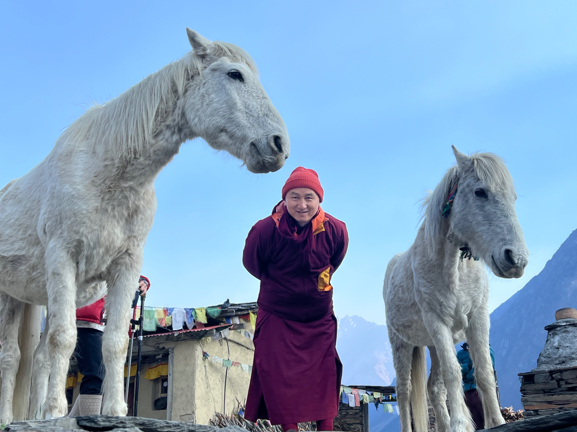 Geshe Tenzin Zopa standing between two white horses at Mu Monastery in Tsum Valley, Nepal, with prayer flags and mountains in the background