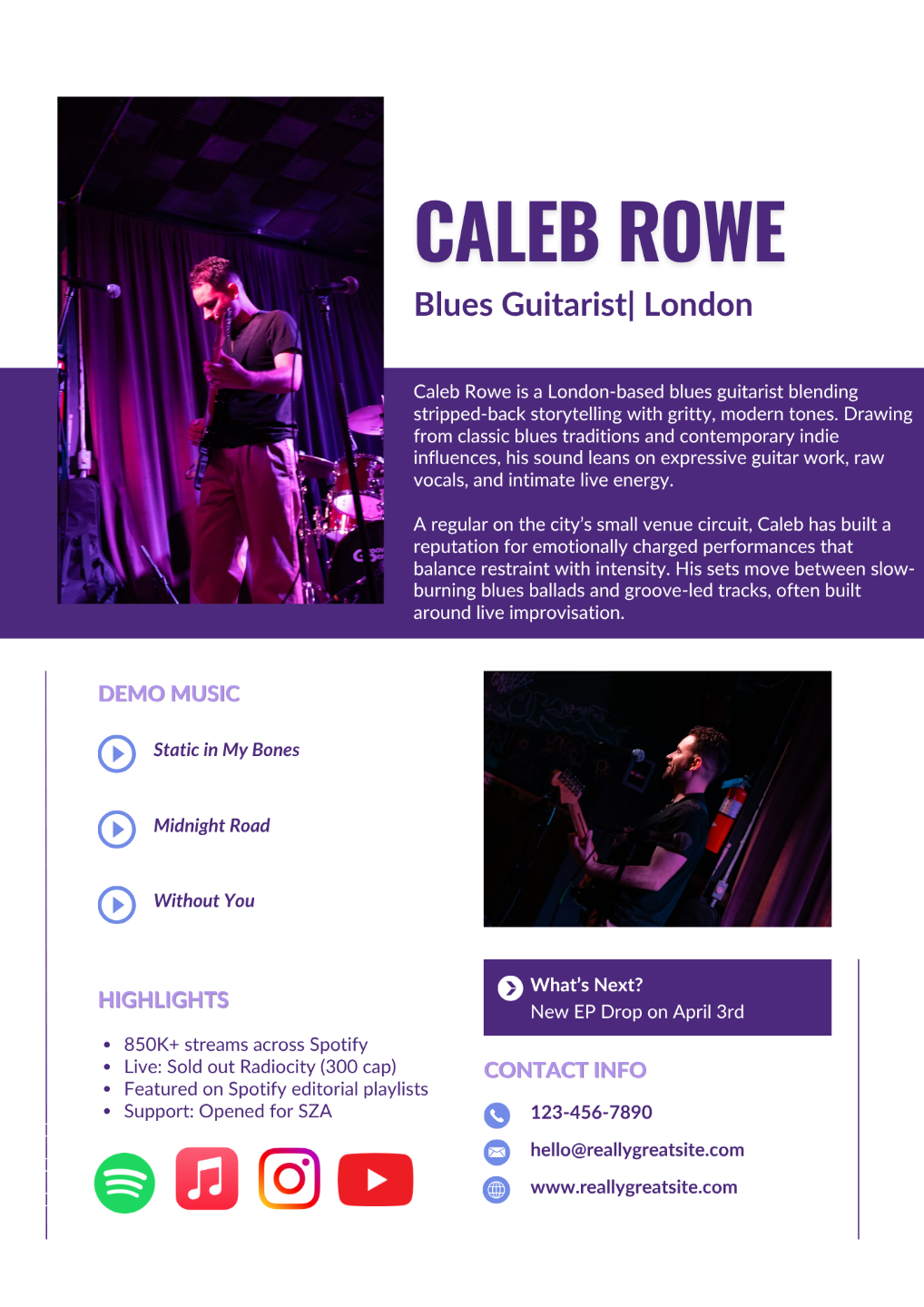 Sample EPK of Musician