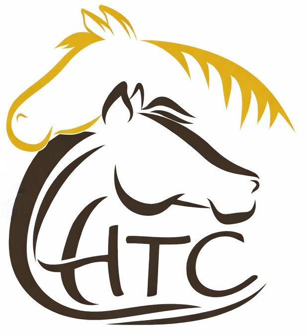 Header Logo