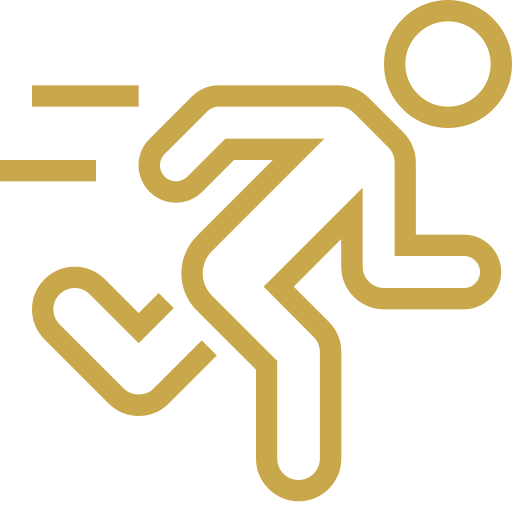 Flight icon