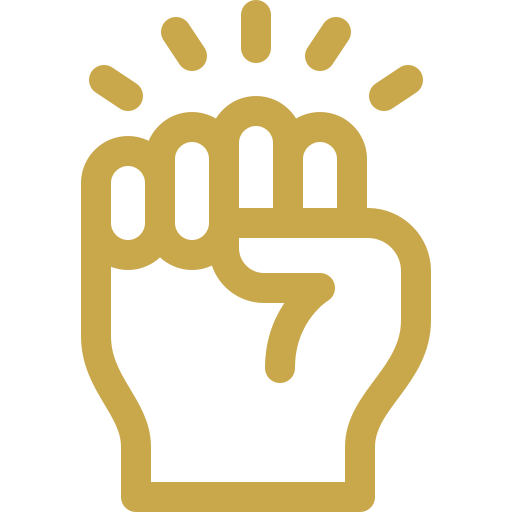 Fight icon