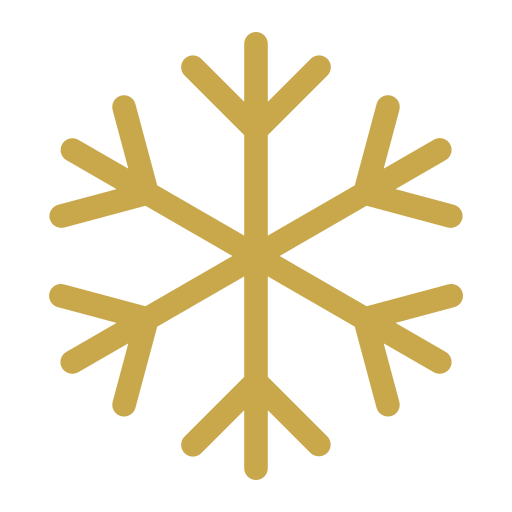 Freeze icon