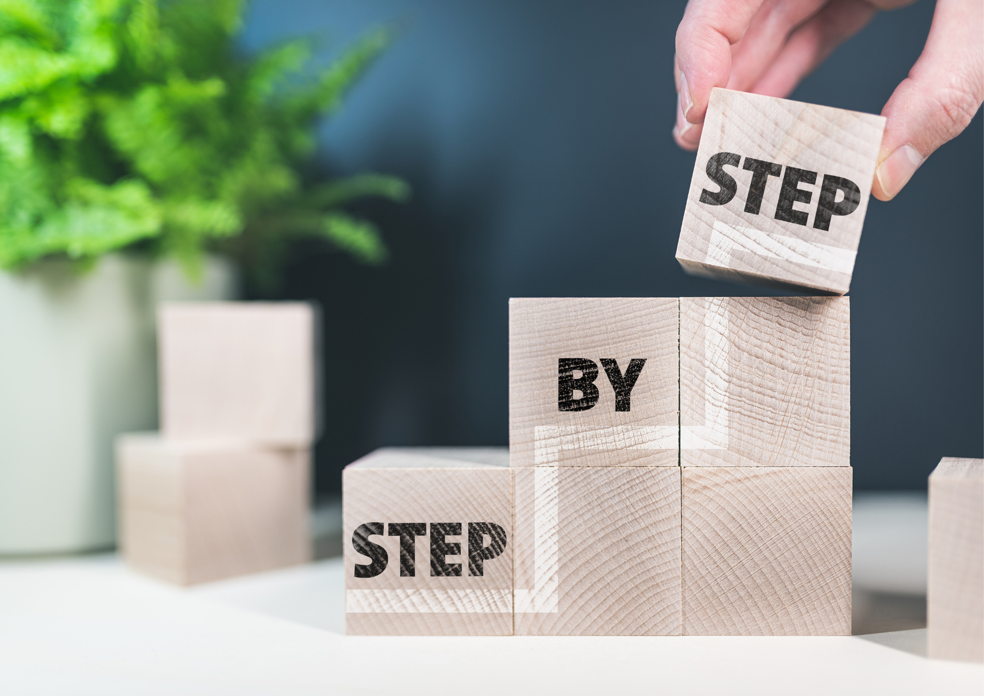 4 Step Recovery Studies