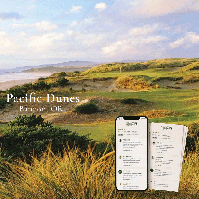 Ocean Dunes Golf Club | AI Powered Insights