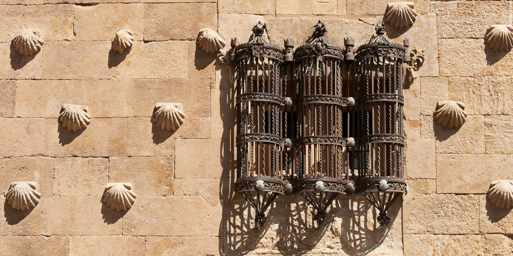 Salamanca Casa de las Conchas