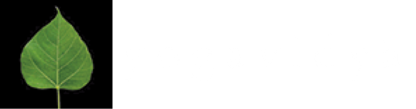 Footer Logo