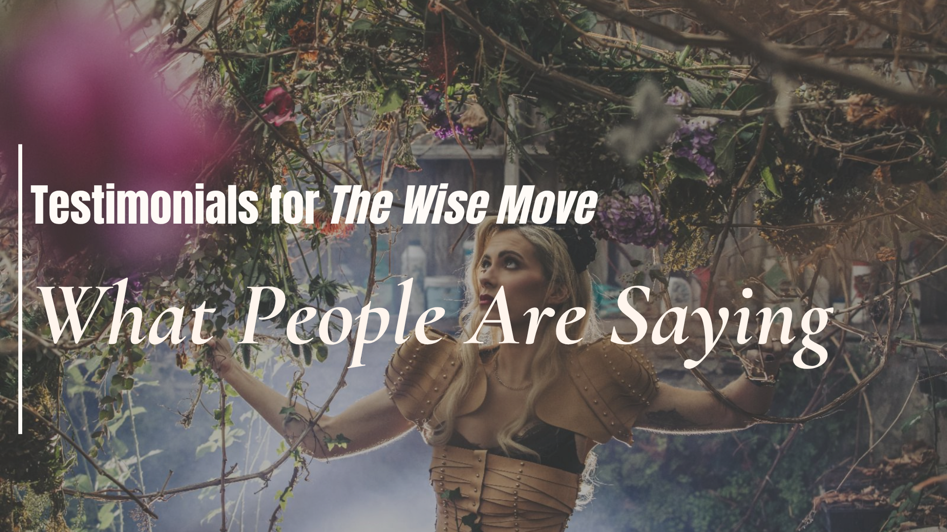 Testimonials for The Wise Move — What People Are Saying