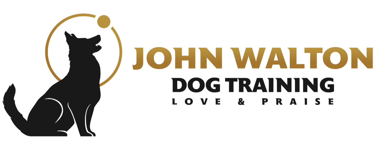 Dog Training Feature