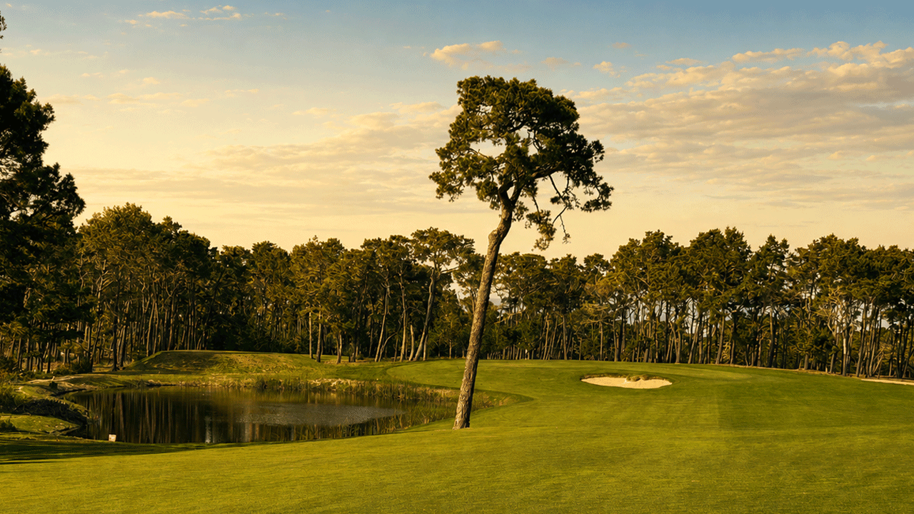 Scoring Tips Tilden Park Golf Course