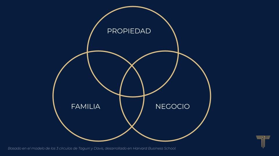 Basado en el modelo de los 3 círculos de Taguiri y Davis, desarrollado en Harvard Business School.