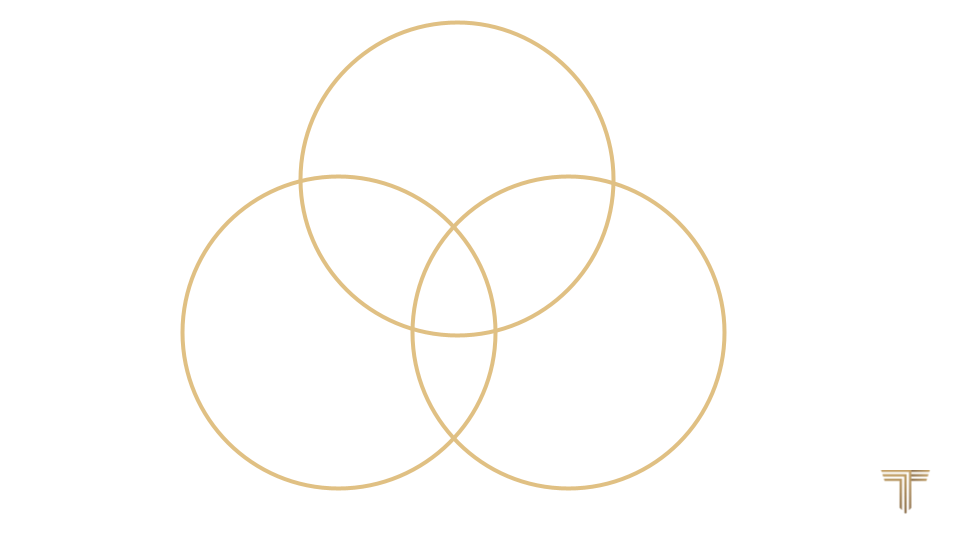 Basado en el modelo de los 3 círculos de Taguiri y Davis, desarrollado en Harvard Business School.