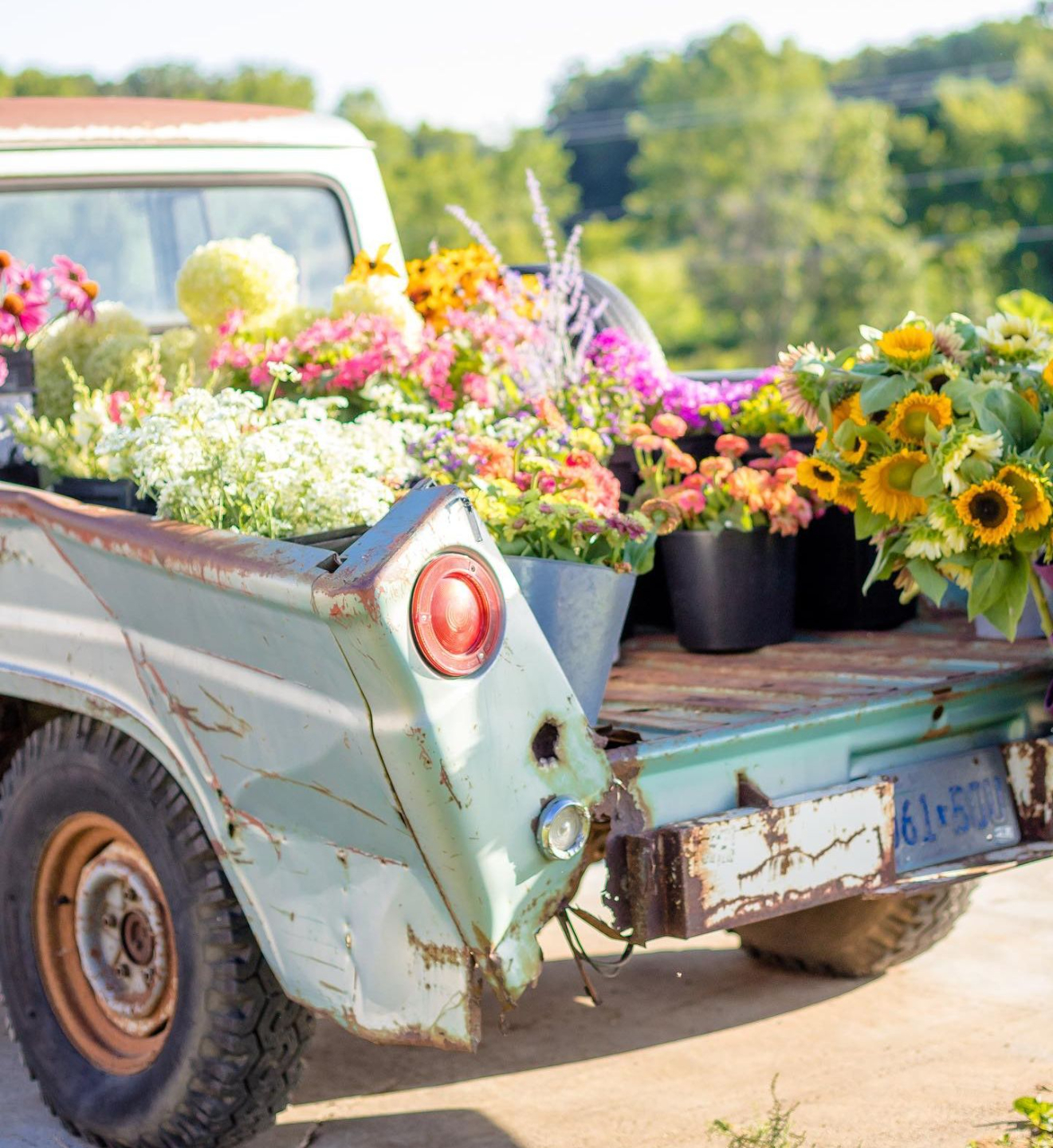 Truck with flowers