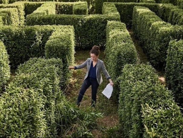 Business woman stuck in hedgerow maze