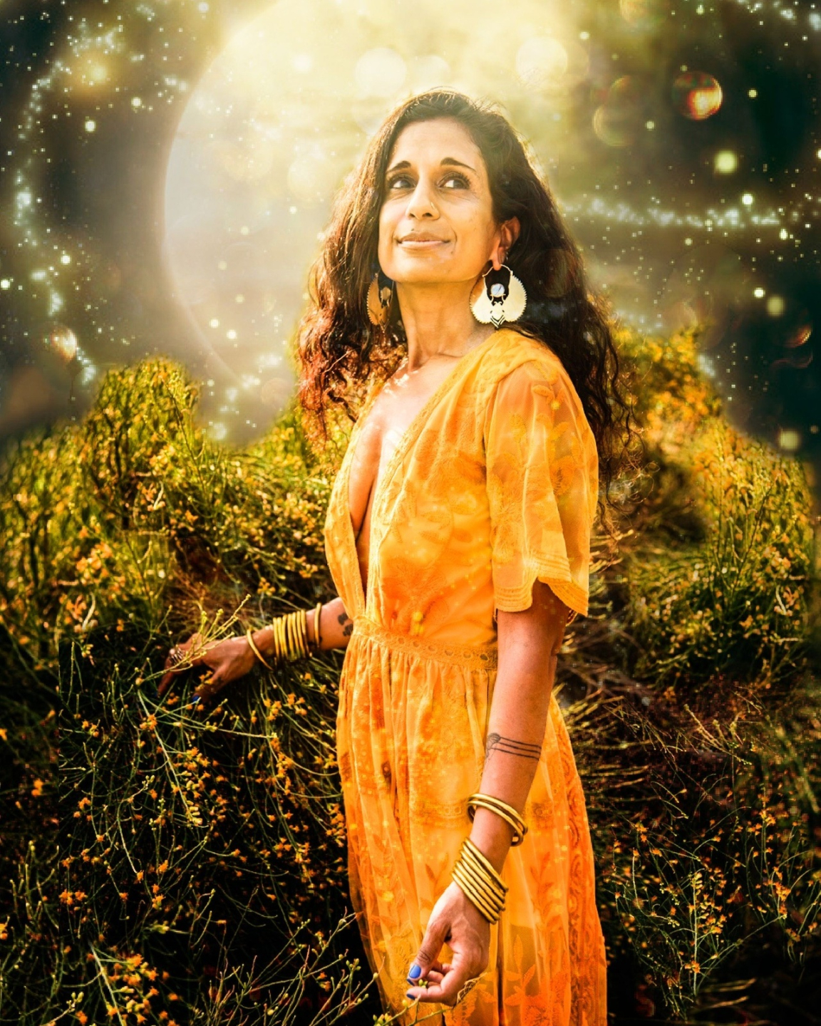 Vanita K Gupta Author
