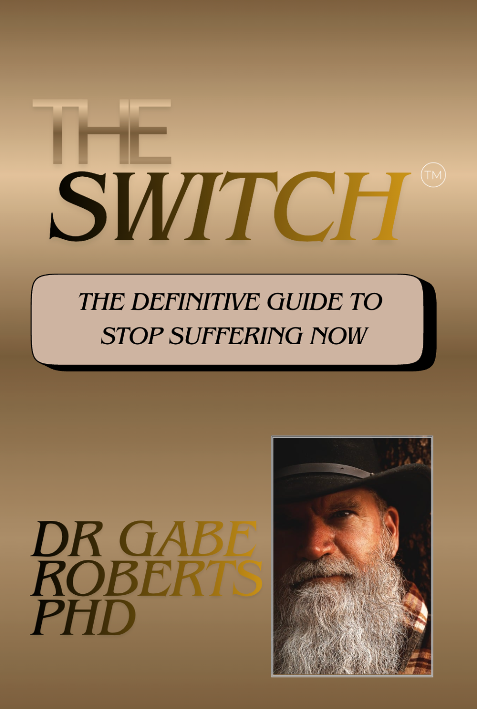 The Switch book cover
