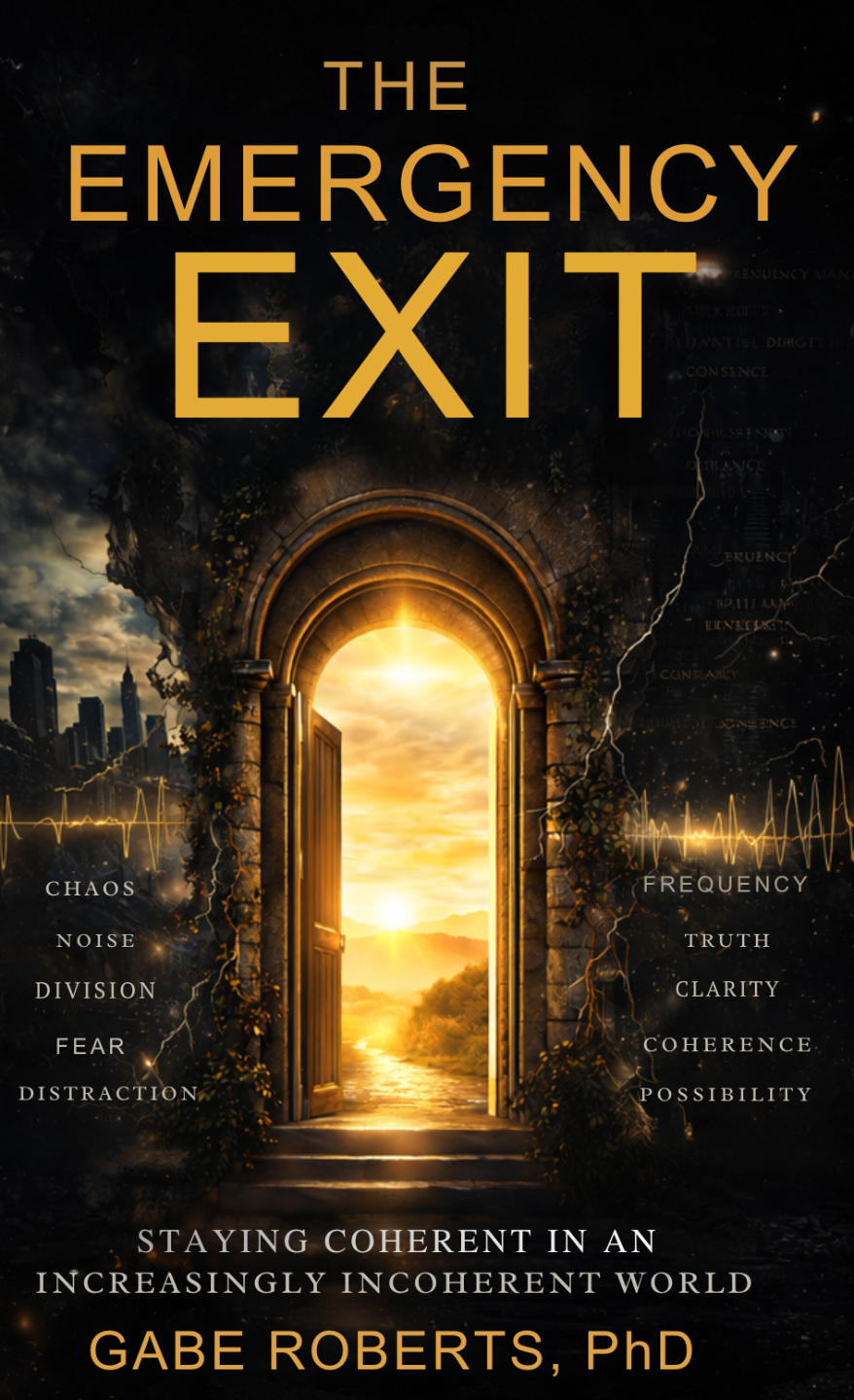 The Emergency Exit book cover