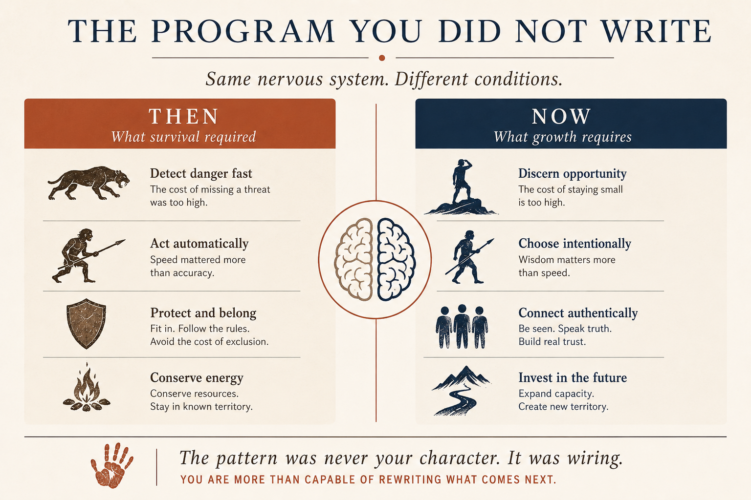 The Program You Did Not Write