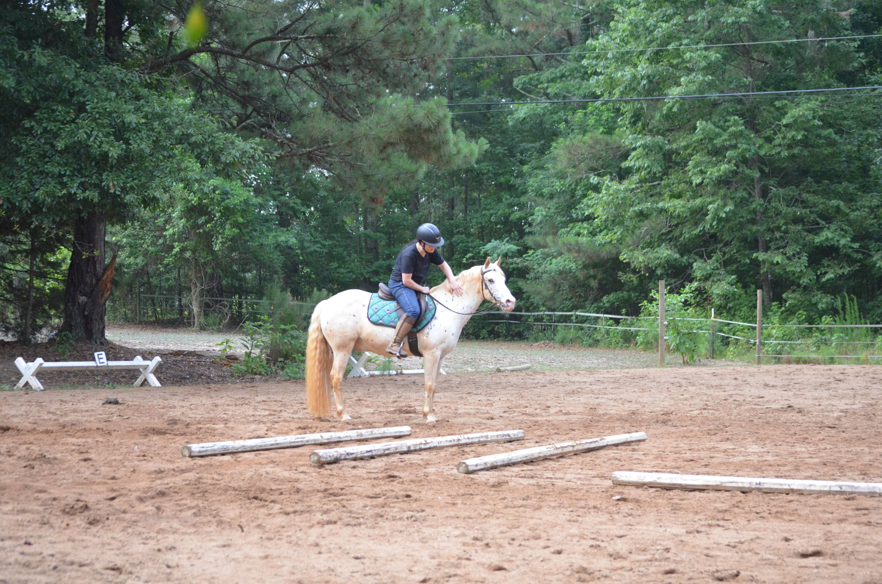 Rider on horseback