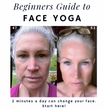 Beginner's Guide