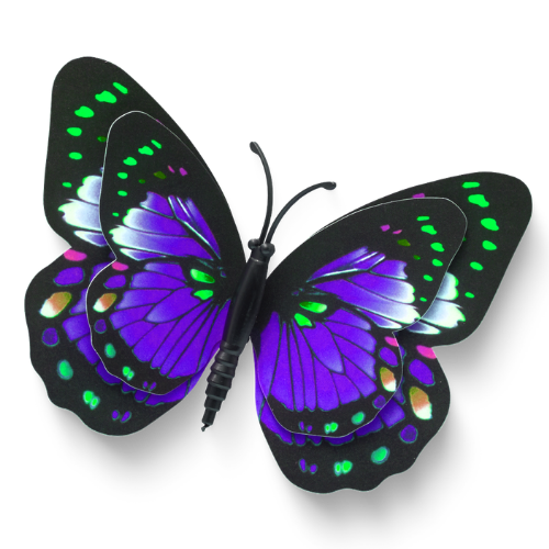 Liz Wunder Logo