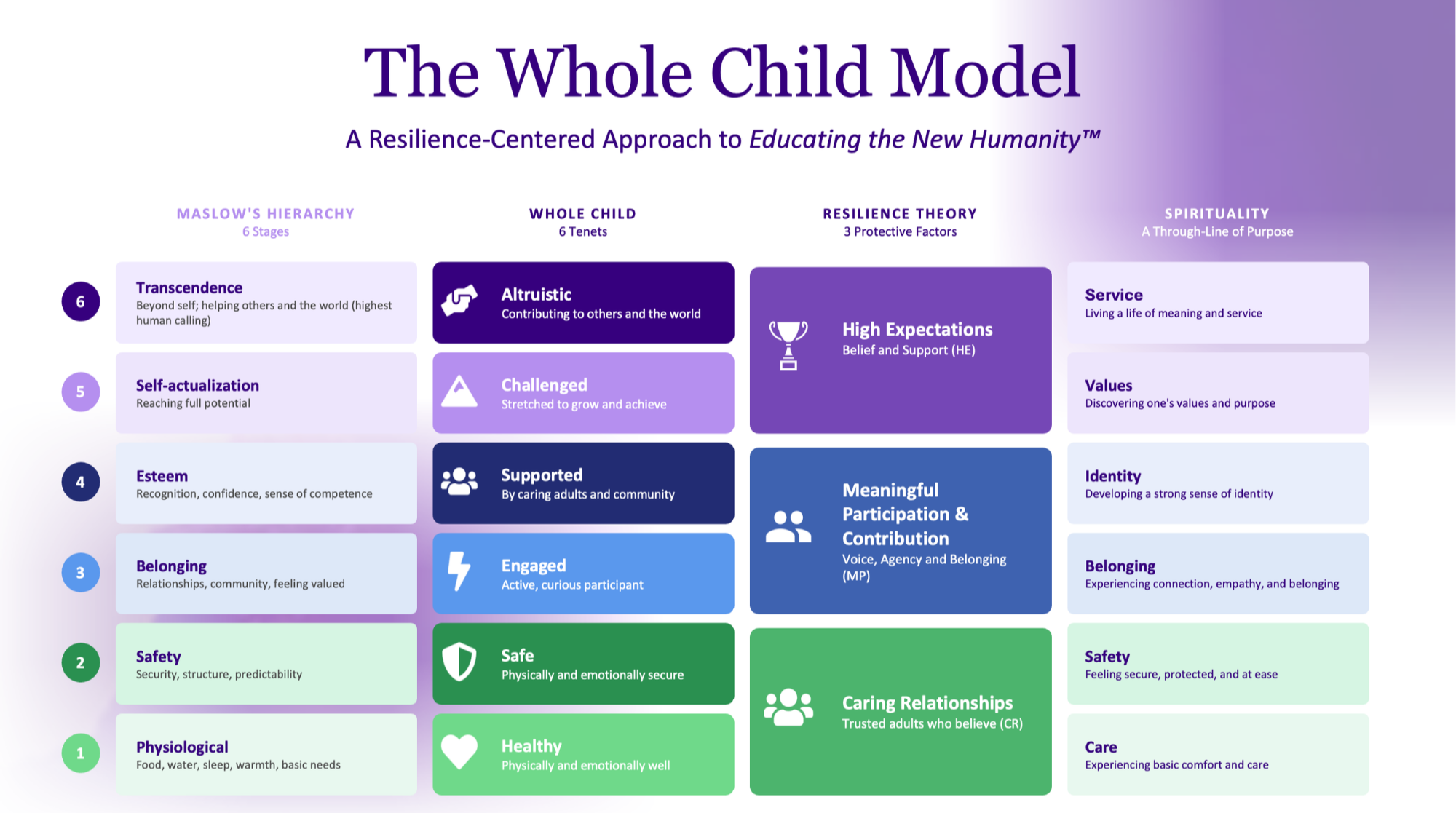 Whole Child Model framework supporting belonging, resilience, and student success