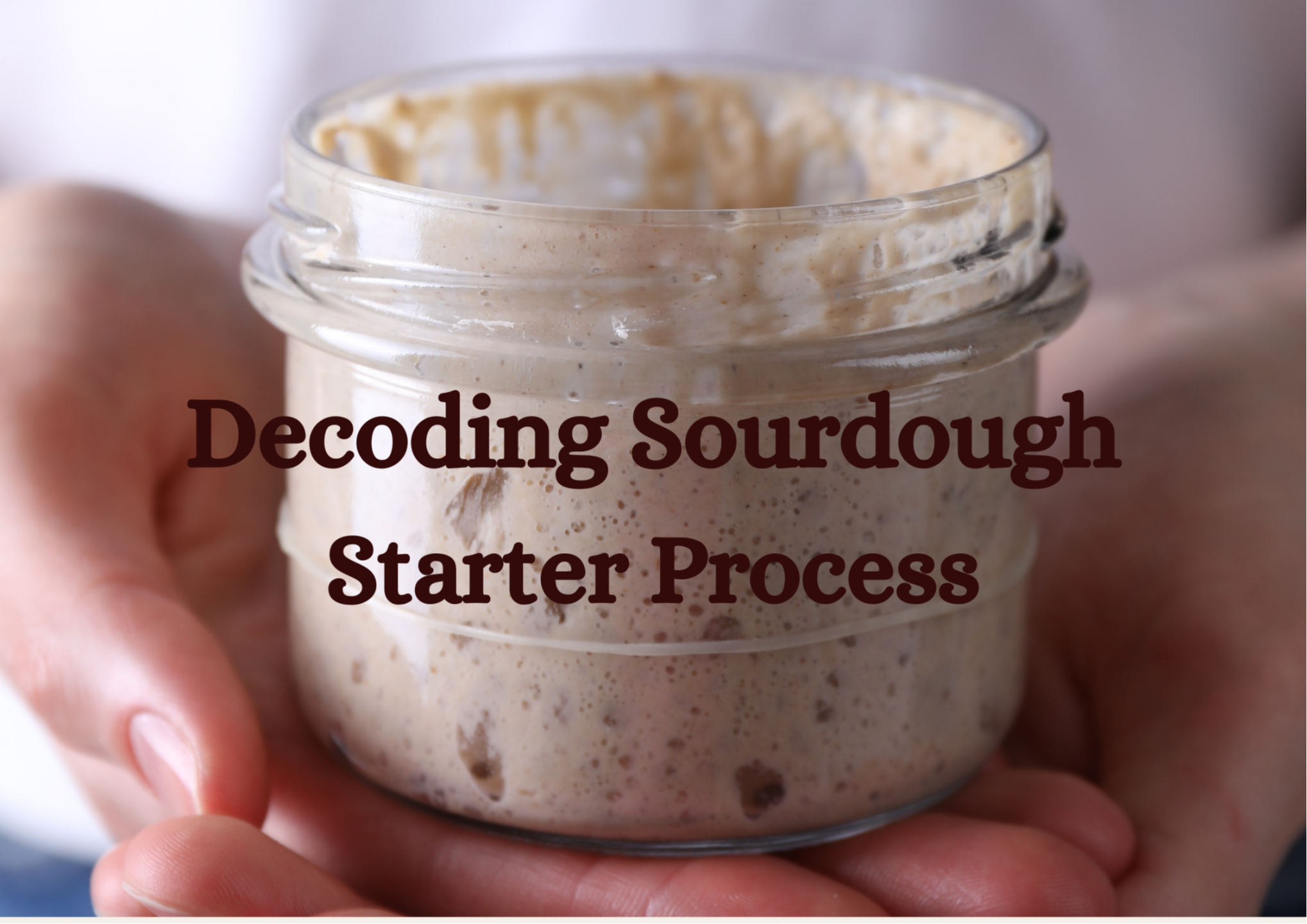 Sourdough baking process