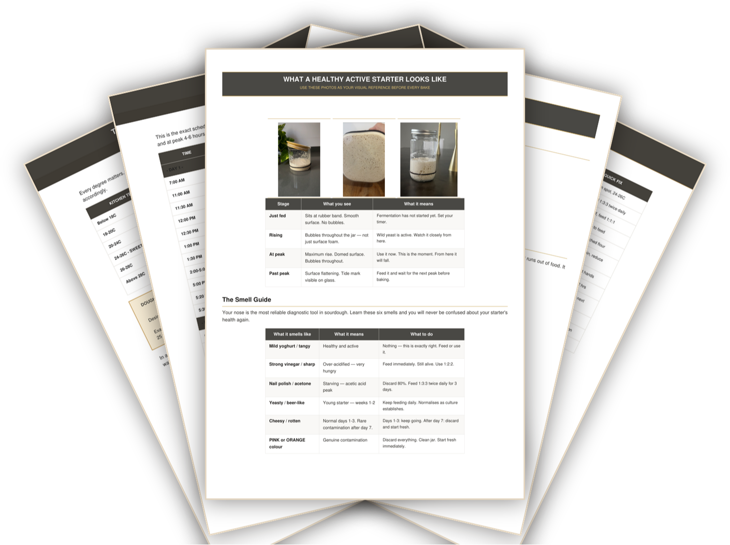 Pages from inside the Sourdough Fix Method guide