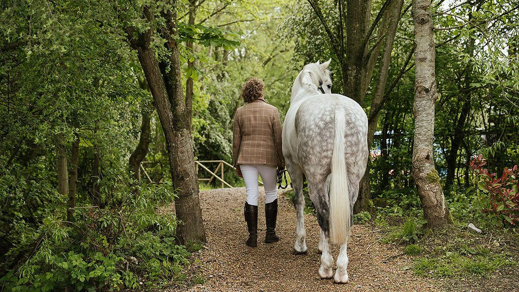 PLACEHOLDER, horse on the ground for White Space with Horses