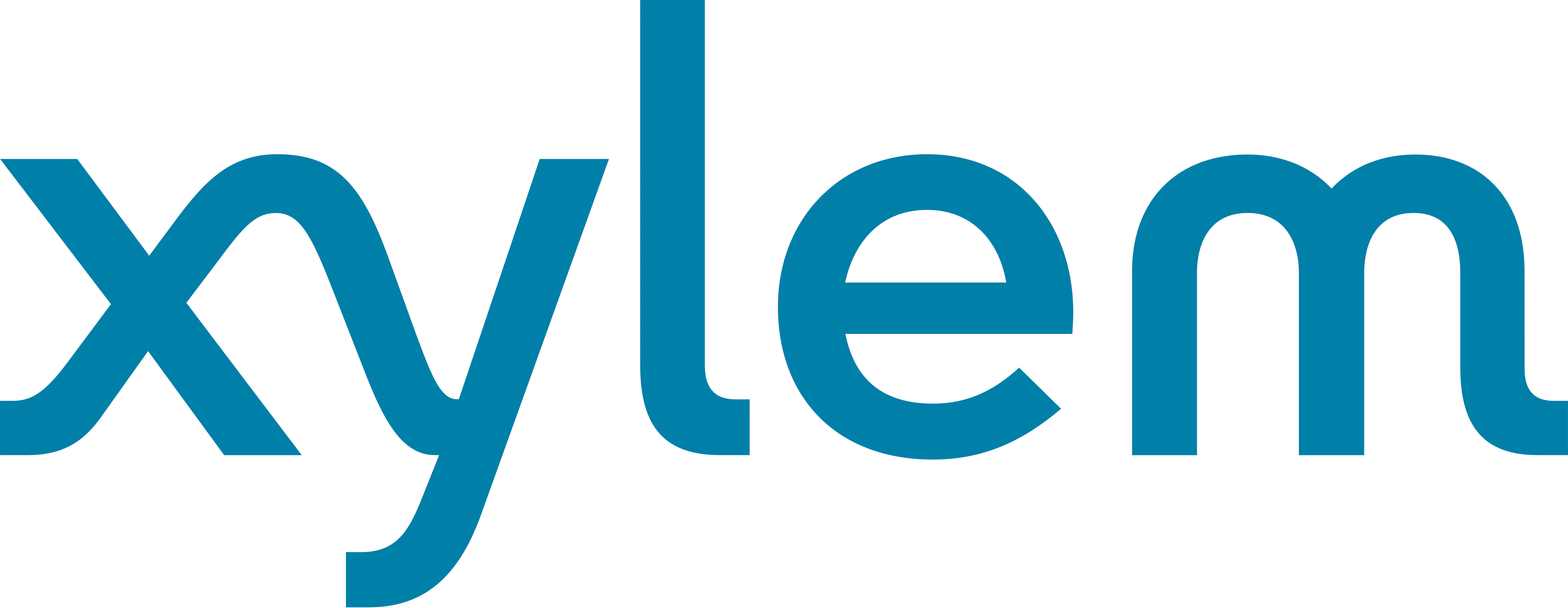 xylem