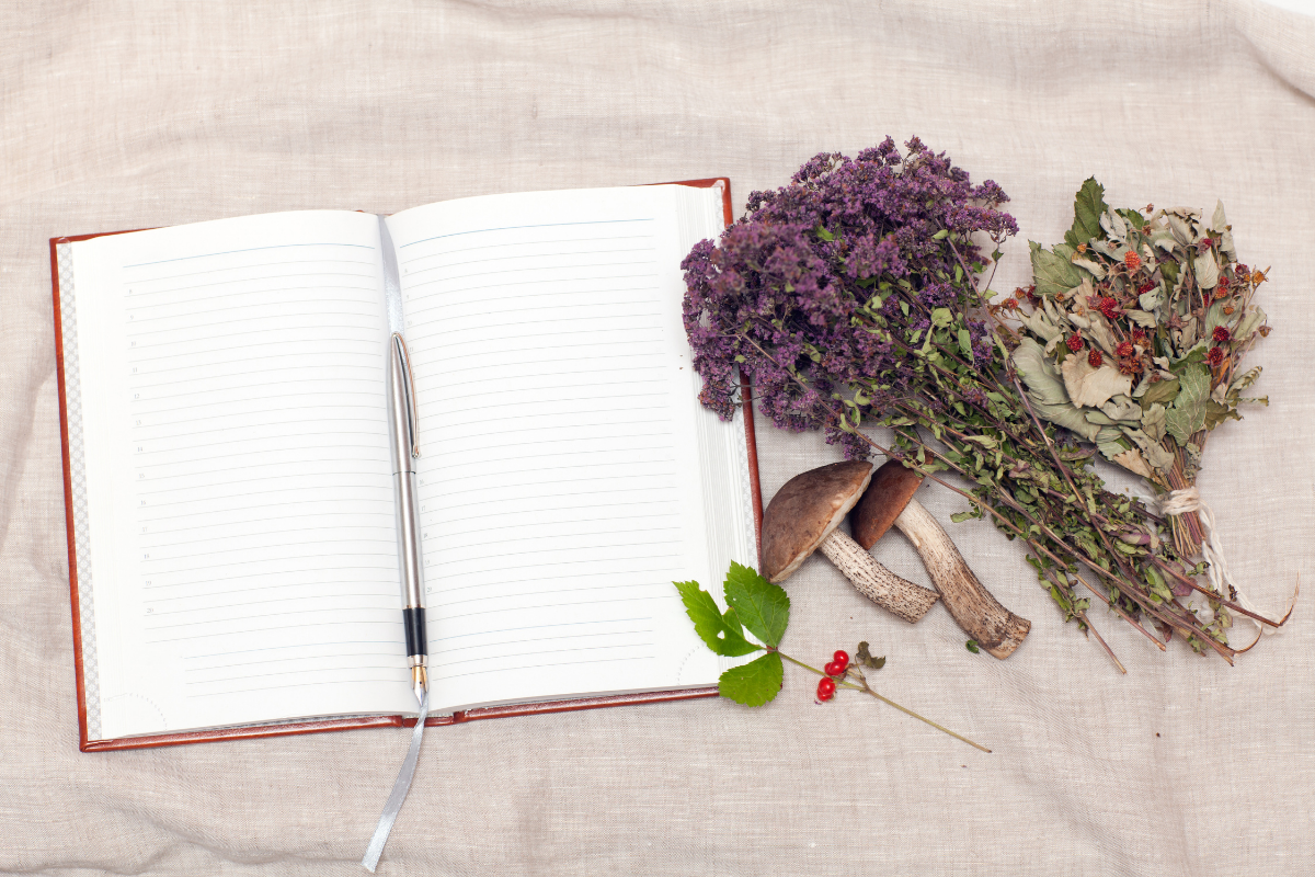 notebook with herbs