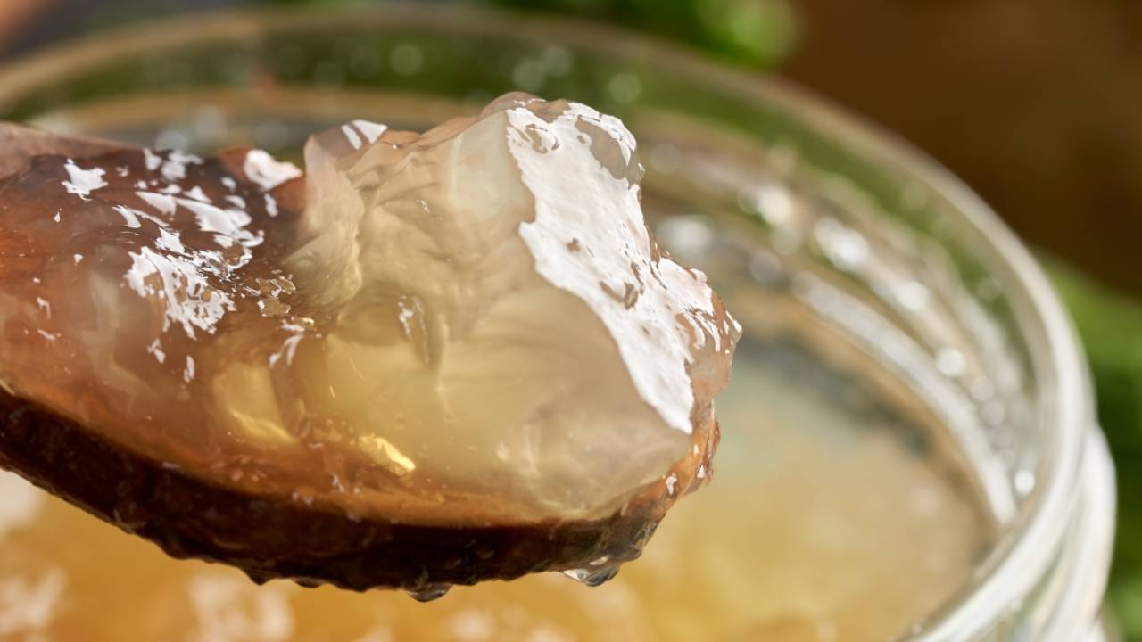 bone broth on a spoon