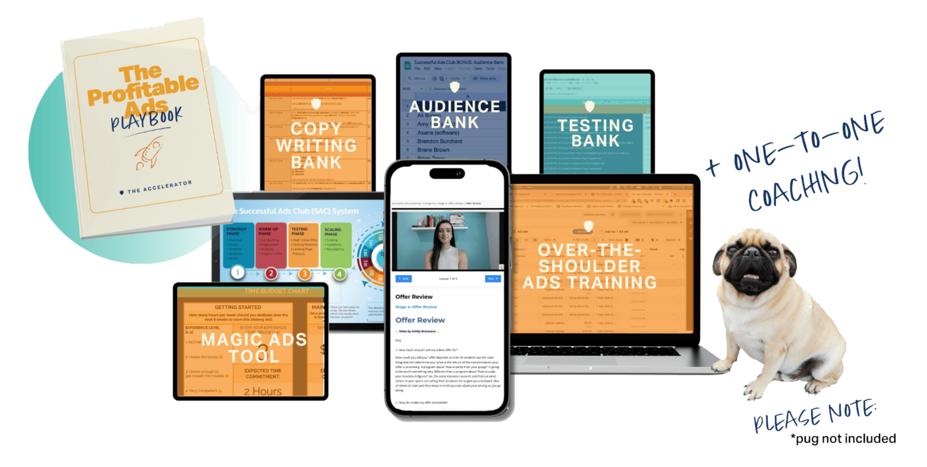 Logo for Successful Ads Accelerator