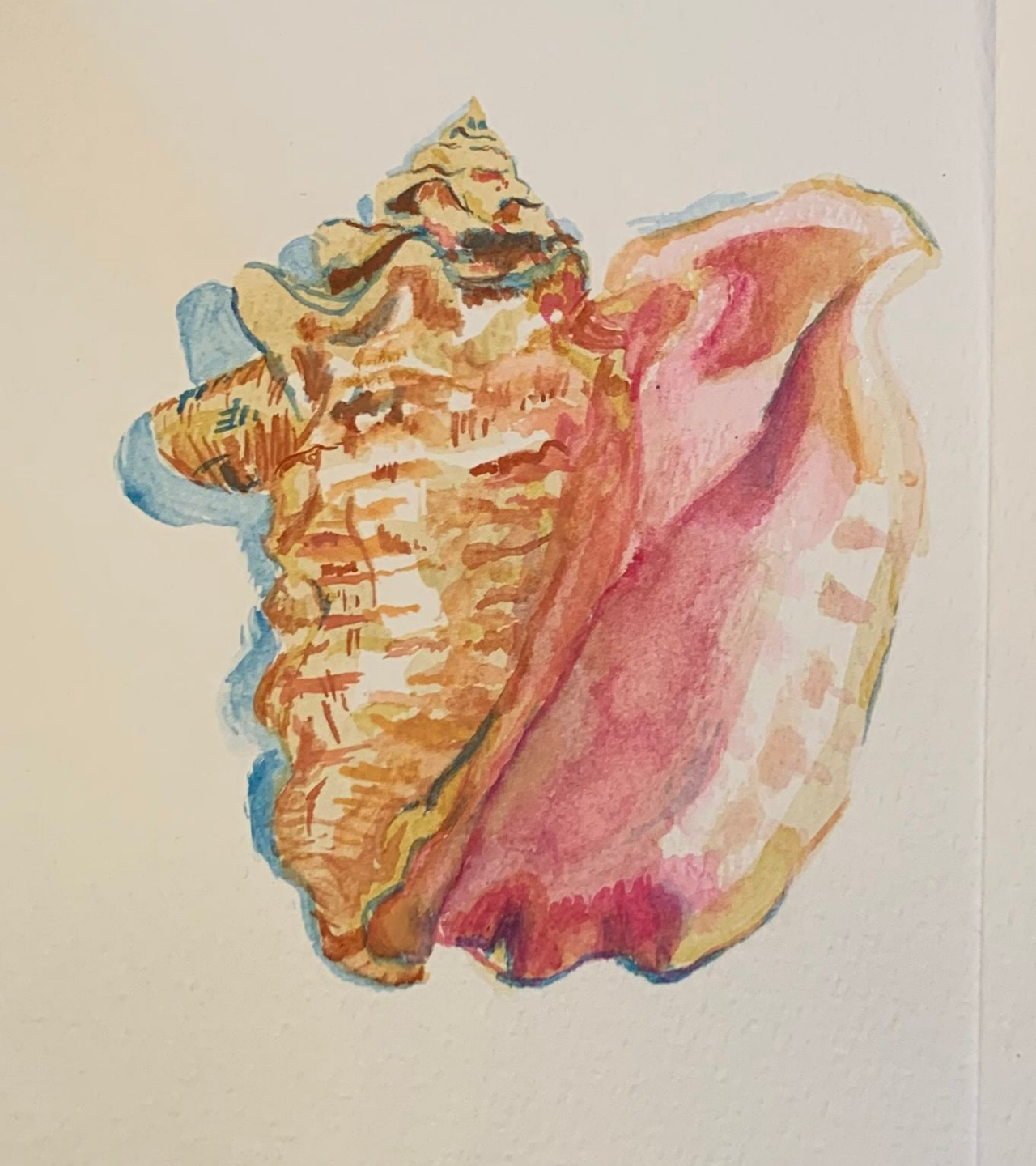 Day 2 — Sea Turtle