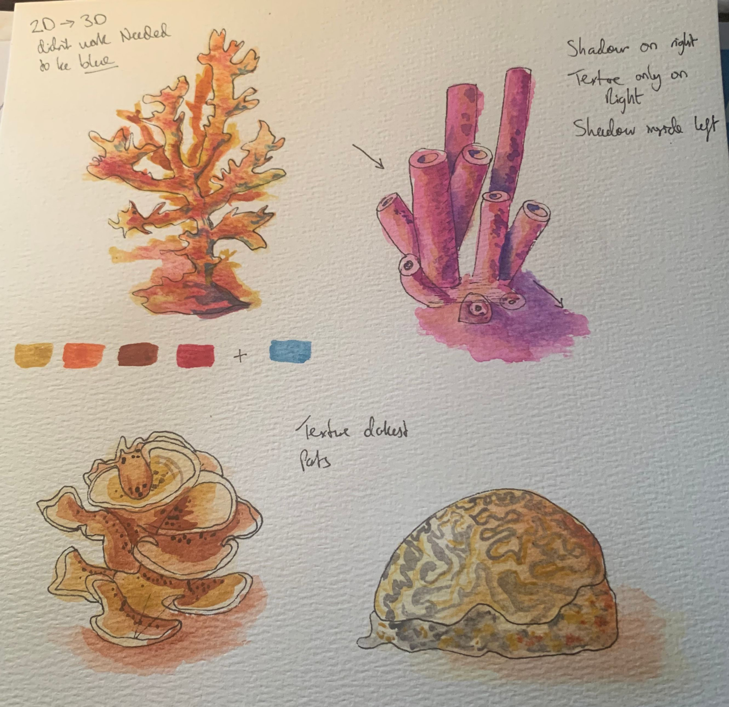 Day 1 — Tropical Fish