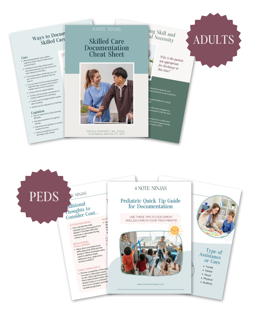 Skilled Care and Documentation Cheat Sheet preview