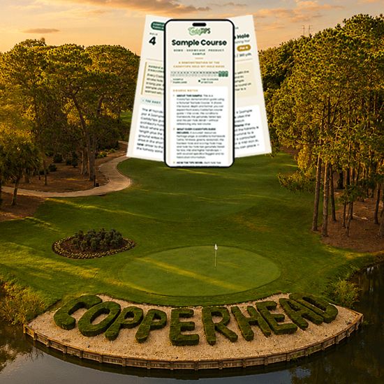 Innisbrook Copperhead Course Tips