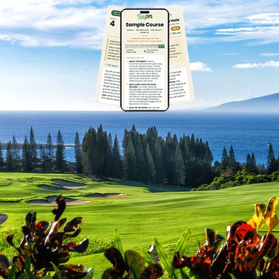 Kapalua Plantation Course Tips