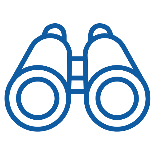 icon of binoculars