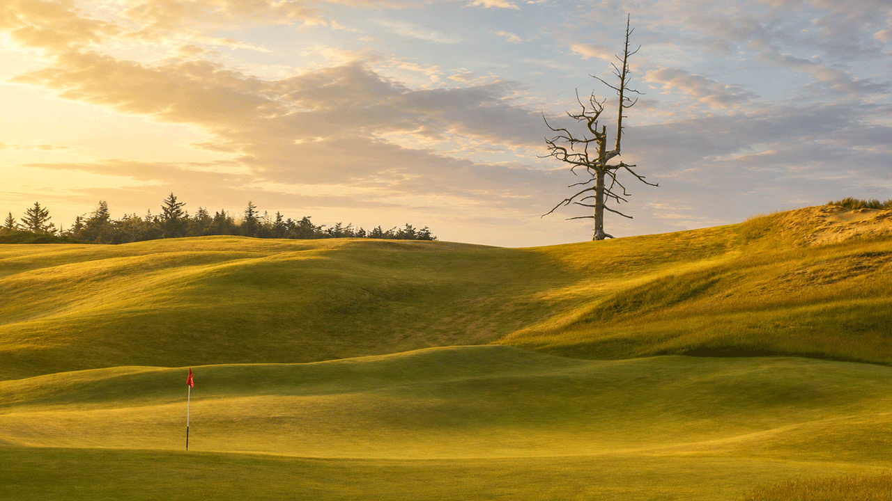 Scoring Tips For Old Macdonald