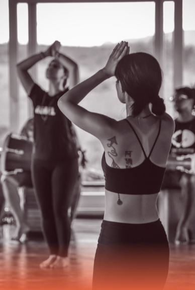 Ambassador Affiliate Program Mission